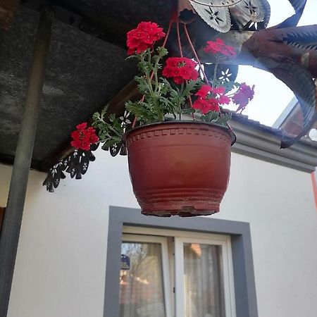 Etno Kuca Badejevic Vila Plavna Exterior foto