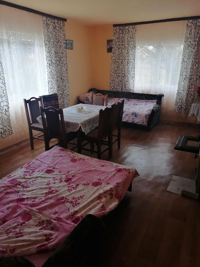 Etno Kuca Badejevic Vila Plavna Exterior foto
