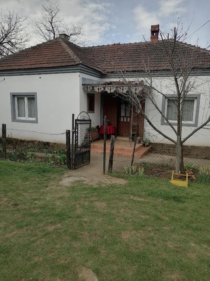 Etno Kuca Badejevic Vila Plavna Exterior foto
