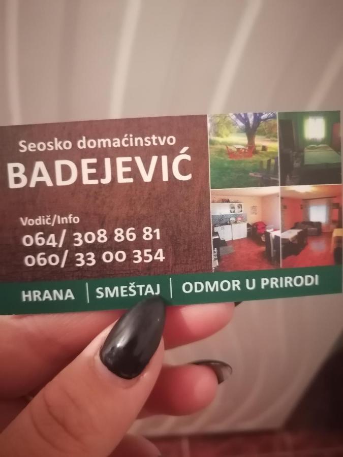 Etno Kuca Badejevic Vila Plavna Exterior foto