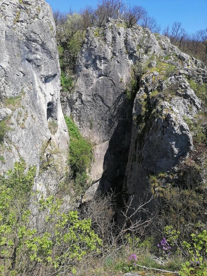 Etno Kuca Badejevic Vila Plavna Exterior foto