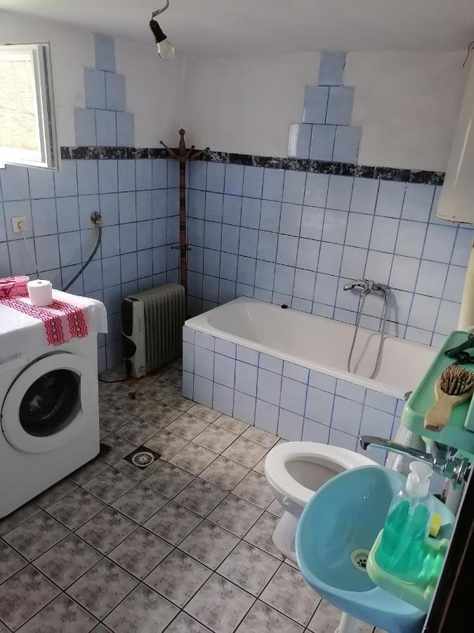Etno Kuca Badejevic Vila Plavna Exterior foto
