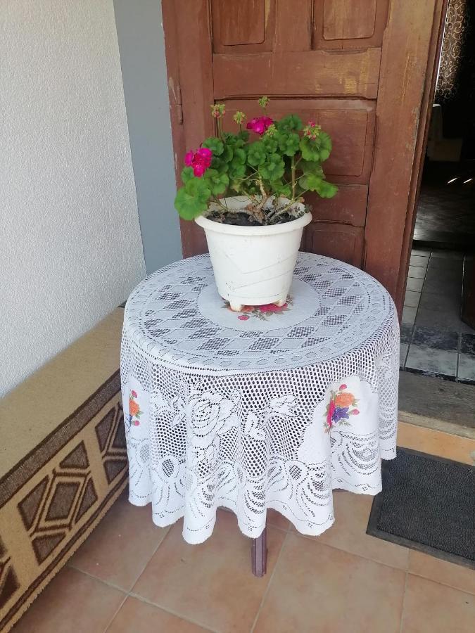 Etno Kuca Badejevic Vila Plavna Exterior foto