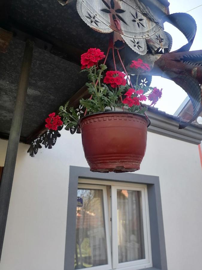 Etno Kuca Badejevic Vila Plavna Exterior foto
